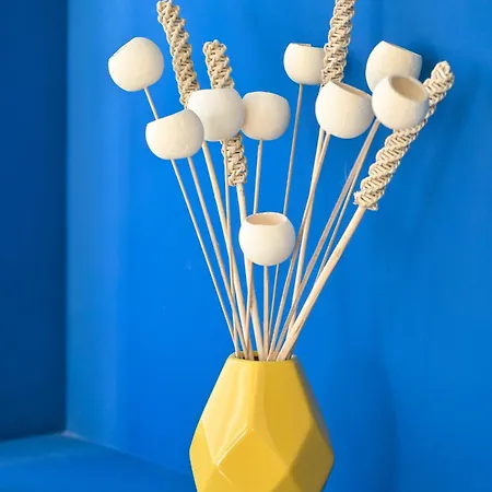 Terrazza Ammirati Искья