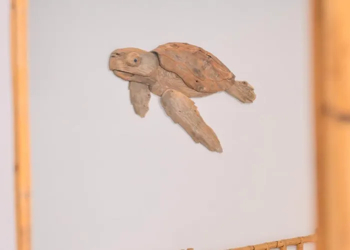 Terrazza Ammirati 3* 이스키아