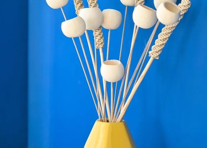 Terrazza Ammirati 이스키아